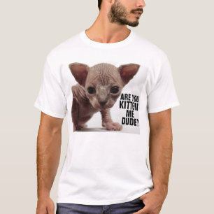 Are you Kitten me Funny Sphinx kitten T-shirts