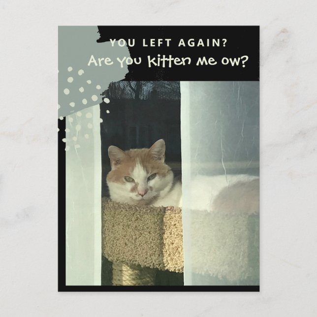 Are you kitten me ow Cat on Perch Postcard (Front)