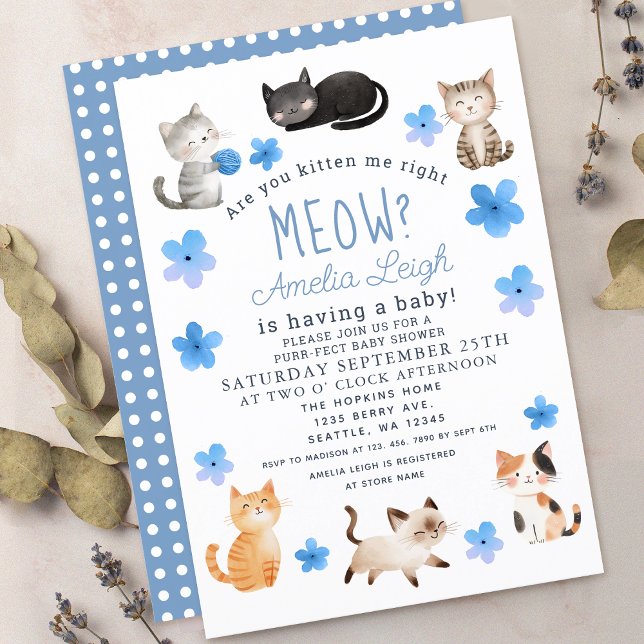 Are You Kitten Me Right Meow Boy Baby  Invitation (Creator Uploaded)