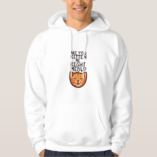 Are you kitten me right Meow Caturday Art funny or Hoodie
