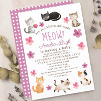 Are You Kitten Me Right Meow Girl Baby 