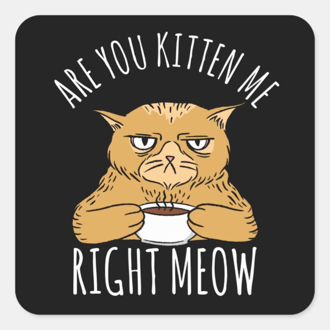 Are You Kitten Me Right Meow Pun Square Sticker (Front)