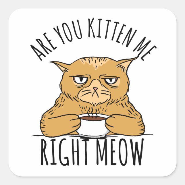 Are You Kitten Me Right Meow Pun Square Sticker (Front)