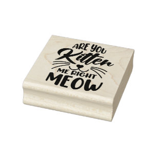 Are You Kitten Me Right Meow Rubber Stamp