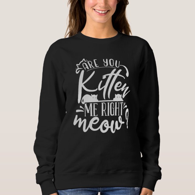 Are You Kitten Me Right Meow Tee Cat Joke Word Pun (Front)