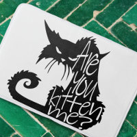 Are you kitten me? Scary Black Cat 