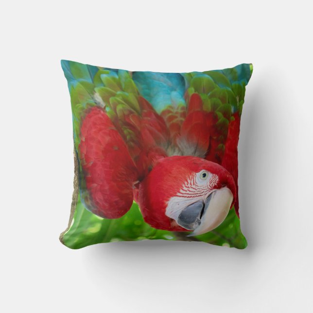 Are you looking at me?  cushion (Front)