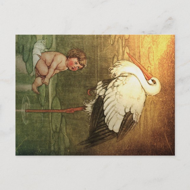 Are You My Mummy? Postcard (Front)