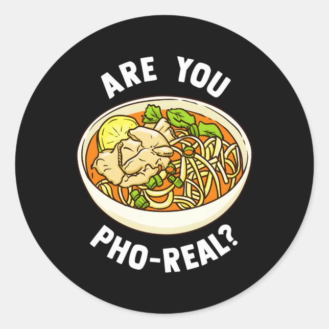 Are You Pho Real Vietnamese Noodle Soup Classic Round Sticker (Front)