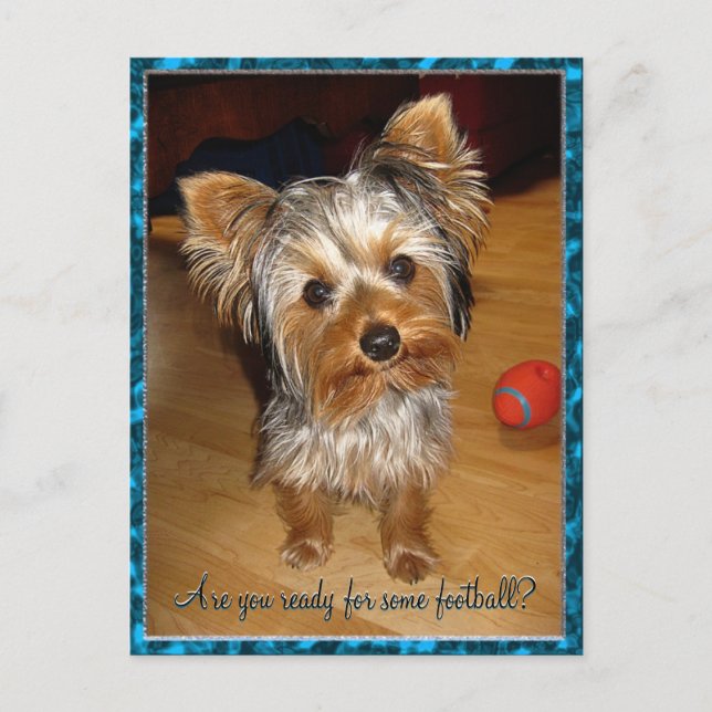 Are you ready for some Football? Postcard (Front)