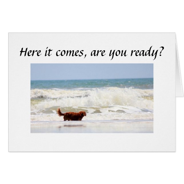 ARE "YOU" READY TO TURN ****50**** (Front Horizontal)