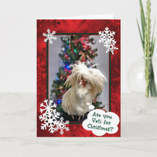 Are You Yeti For Christmas! Holiday Card