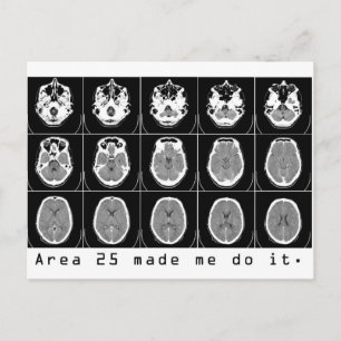 Area 25 made me do it. postcard