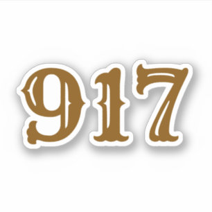 Area Code 917 (New York City)