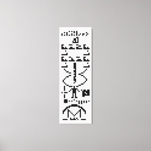 Arecibo Binary Message 1974 Canvas Print