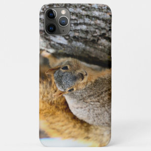 Aren't you coming? Case-Mate iPhone case