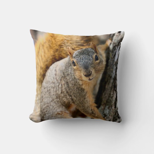 Aren't you coming? cushion (Front)