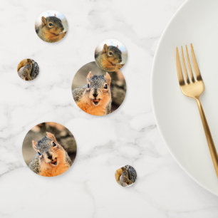 Aren't you coming? squirrels confetti