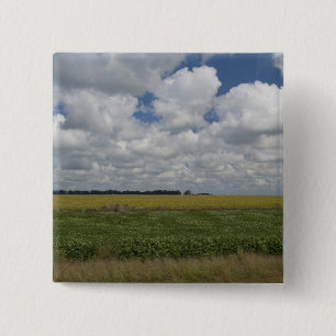 Argentina, Buenos Aires, San Antonio de Areco. 15 Cm Square Badge