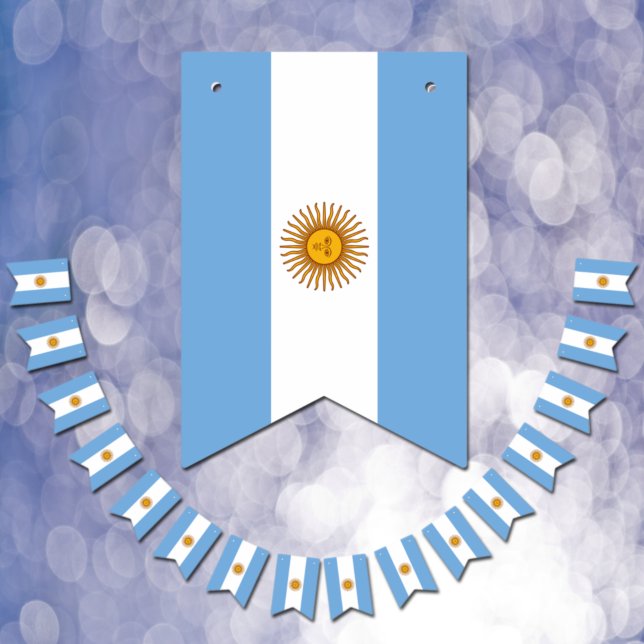 Argentina Flag & Party Argentina Banners /Weddings (Creator Uploaded)