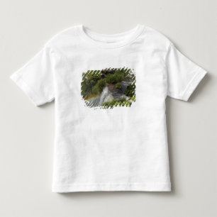 Argentina, Iguacu Falls. Rainbow at Iguacu Toddler T-Shirt
