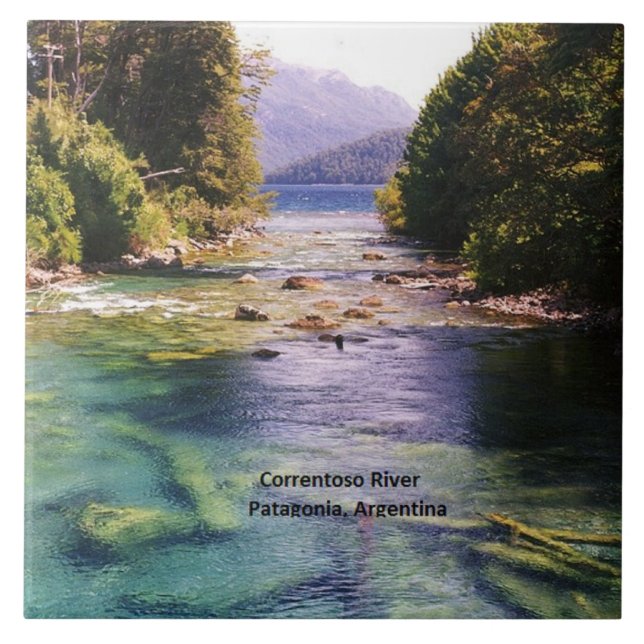 Argentina, Patagonia Tile (Front)