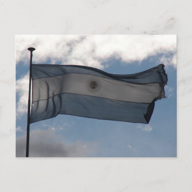 Argentina's Flag Postcard (Front)
