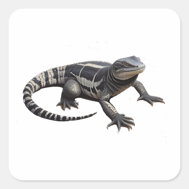 Argentine Black And White Tegu Square Sticker (Front)