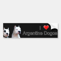Argentine Dogo Bumper sticker