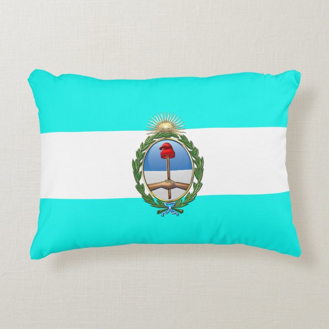 Argentinian flag decorative cushion (Front)