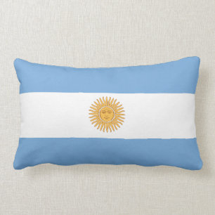 Argentinian flag pillow