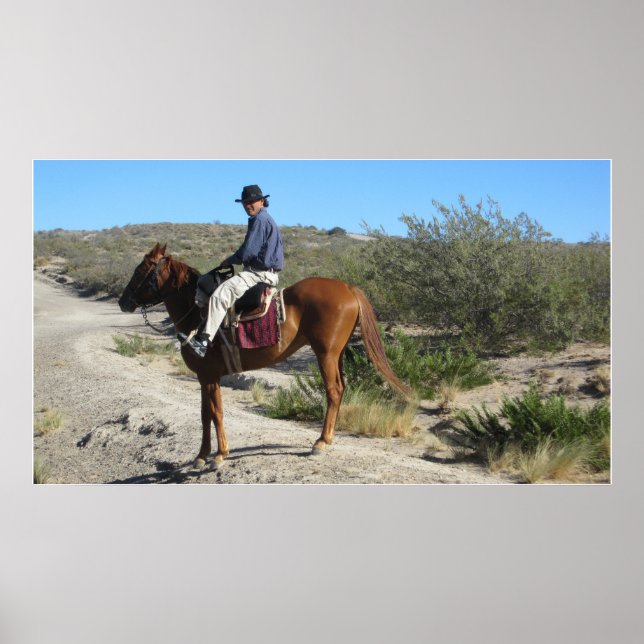 Argentinian Gaucho Poster (Front)
