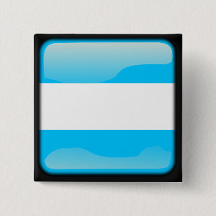 Argentinian polished 15 cm square badge