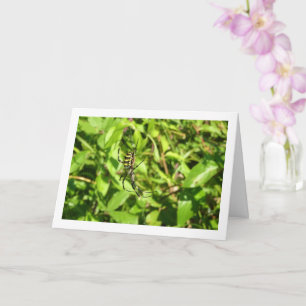 Argiope bruennichi, Wasp Spider, Orb-weaver Card