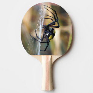 Argiope Garden Spider Ping Pong Paddle