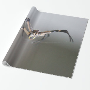 Argiope Spider Lover Gift Wrapping Paper