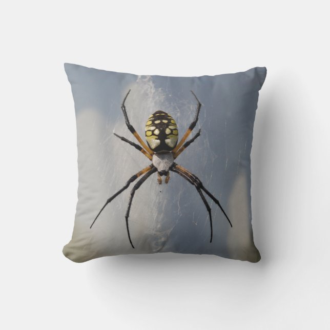 Argiope Spider pillow (Front)