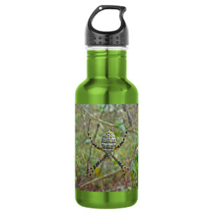 Argiope trifasciata Orb Weaver Spider 532 Ml Water Bottle