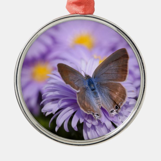 Argus butterfly on flower metal tree decoration (Front)