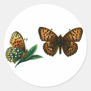 Argynnis aglaja classic round sticker