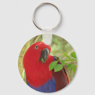 Aria Grand Eclectus Parrot Key Ring