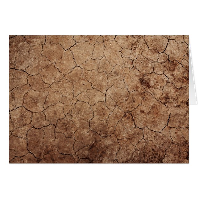 Arid Dry Cracked Earth (Front Horizontal)