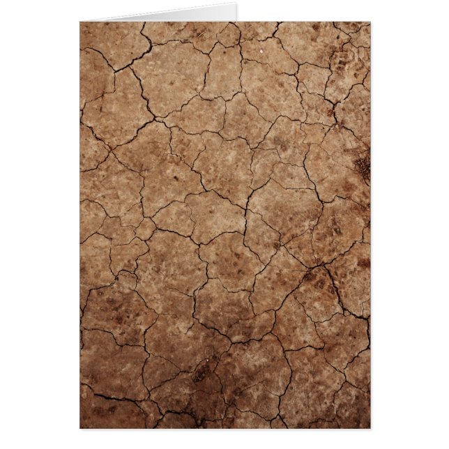 Arid Dry Cracked Earth (Front)