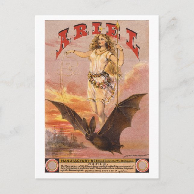 Ariel on a Bat Postcard (Front)