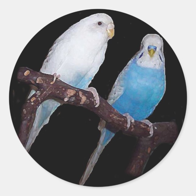 Ariel Oscar budgie stickers (Front)