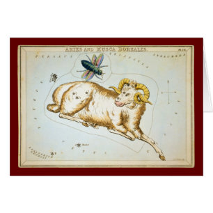 Aries and Musca Borealis