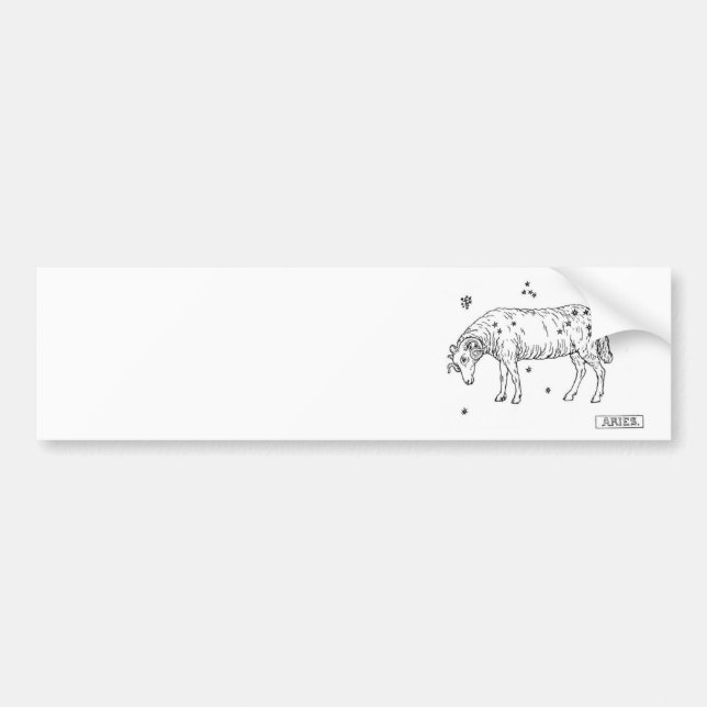 Aries Bumper Sticker (Front)