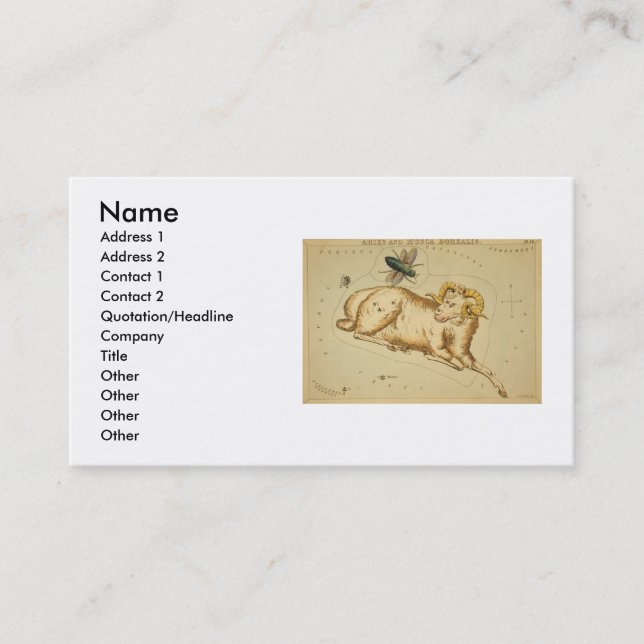 Aries Business Card (Front)
