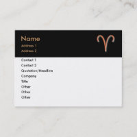 Aries Business Card