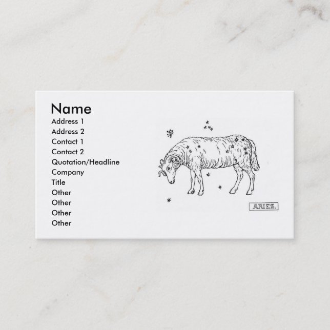 Aries Business Card (Front)